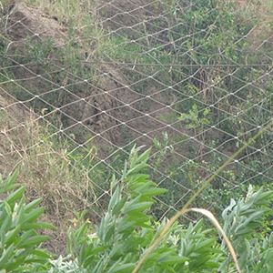 主動(dòng)邊坡